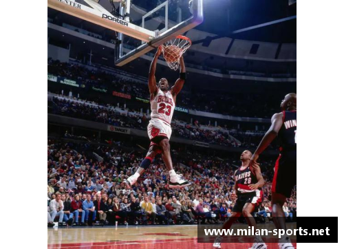 探寻NBA世界:183位球员的故事 探寻NBA世界:183位球员的故事