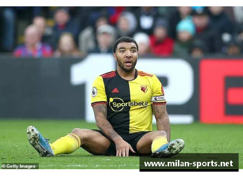 迪尼:传奇足球征程 迪尼:传奇足球征程